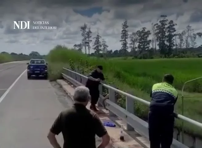 WhatsApp Video 2026-03-29 at 17.56.55