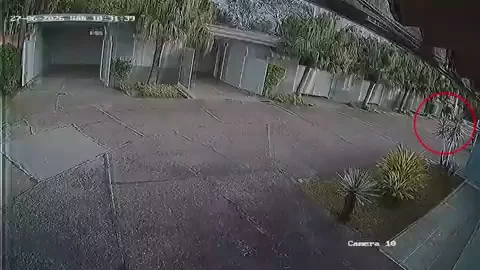 COR