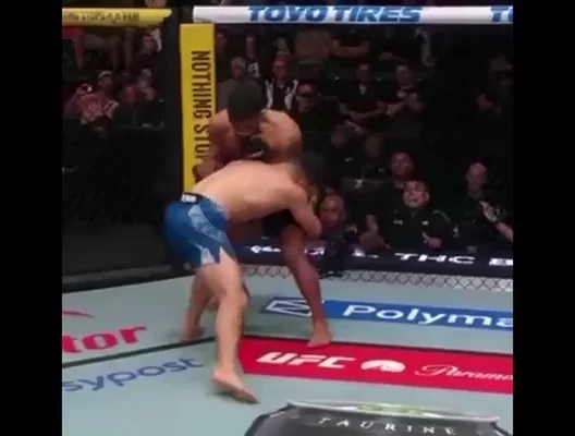 UFC
