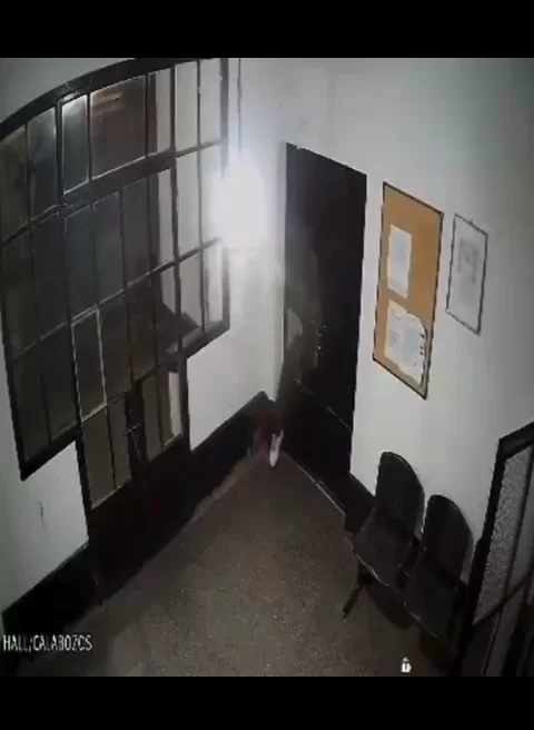 DE