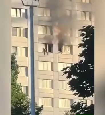IB