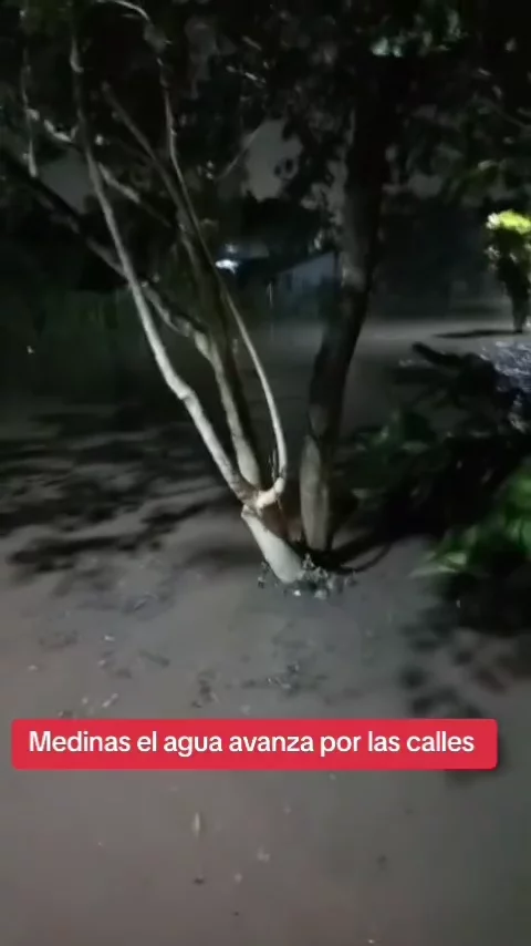 AQOmU_n9uBB8wiHHRXPS0o3WnTxMH-iKly-smIZC7dIeJSromrvQGmsn00W_ZYlob4RmwfcwQ6xUtEKVsSAB7IwyjKr5bd6hlH4yuVw