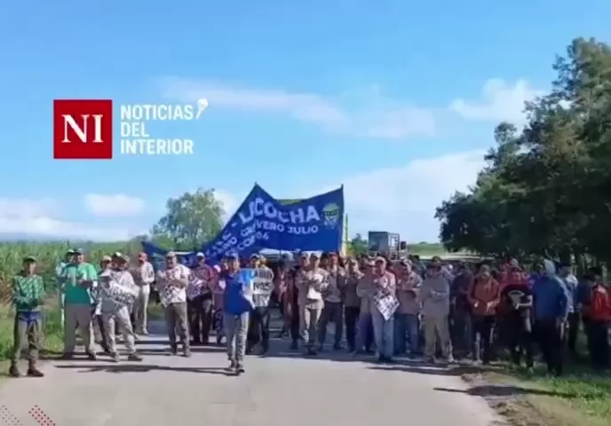 WhatsApp Video 2026-03-31 at 16.41.02