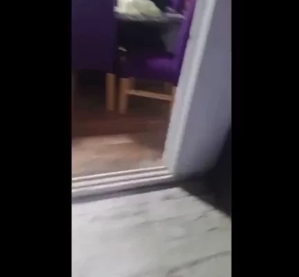 NR