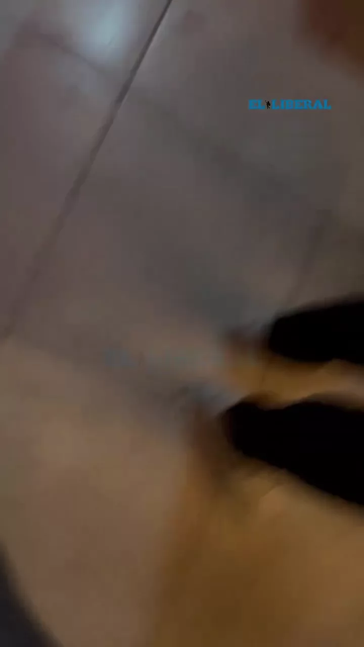 ⭕️NUEVO ESCÁNDALO ENVUELVE A LA FAMILIA DE LA ABOGADA SANTIAGUEÑA AGOSTINA PÁEZ👉🏻Mariano Páez 