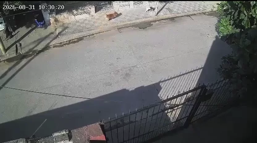 rj