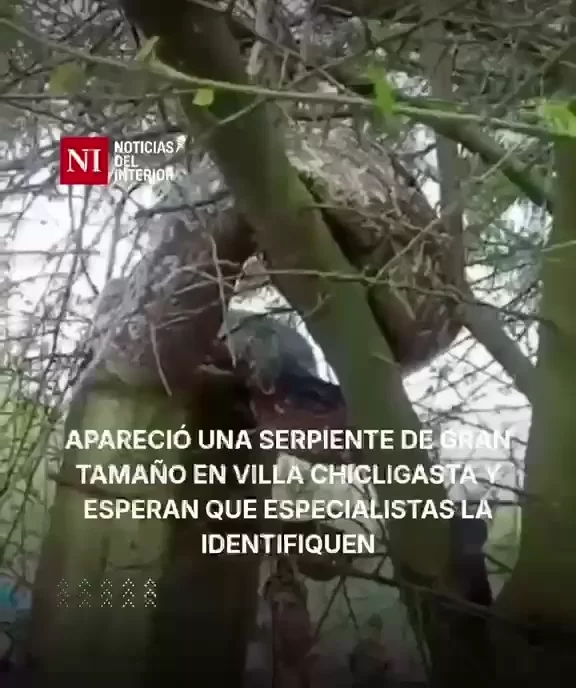 WhatsApp Video 2026-04-30 at 11.42.39