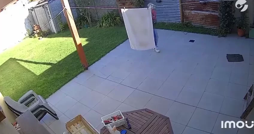 WhatsApp Video 2026-09-05 at 20.11.04