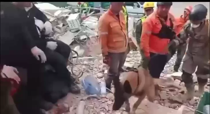 WhatsApp Video 2026-06-29 at 14.50.49