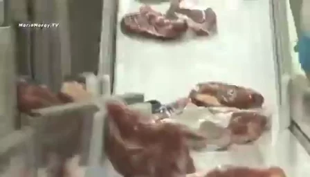 WhatsApp Video 2026-03-30 at 14.15.43