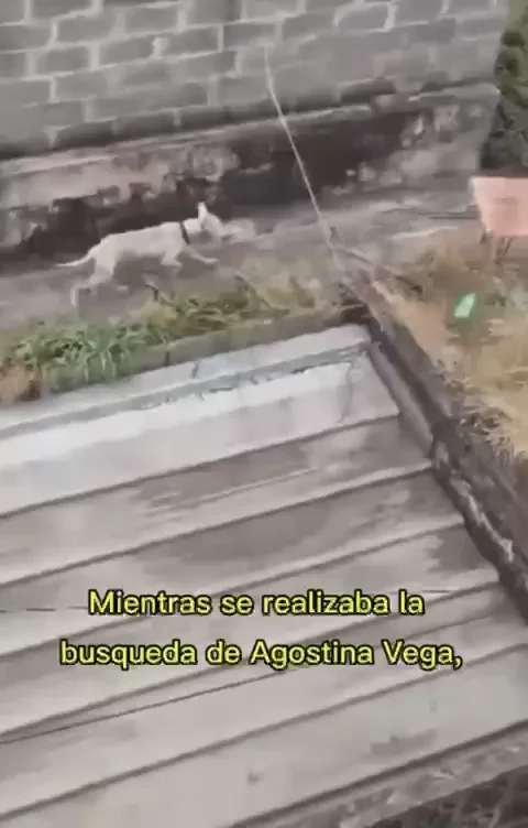 Ñ-