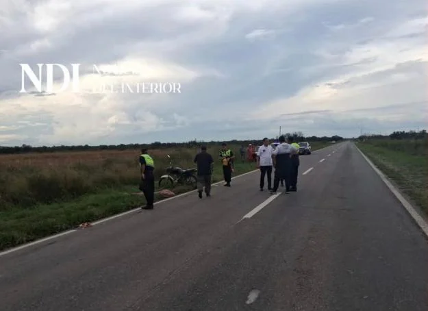 WhatsApp Image 2026-04-01 at 21.08.27