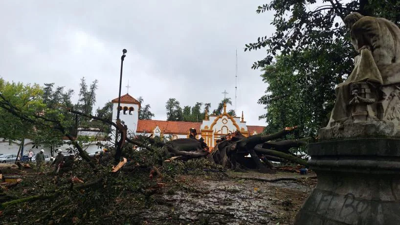 818x460_260318121630_31033