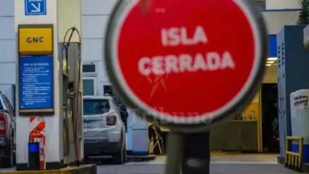 WhatsApp Image 2026-03-31 at 20.30.36