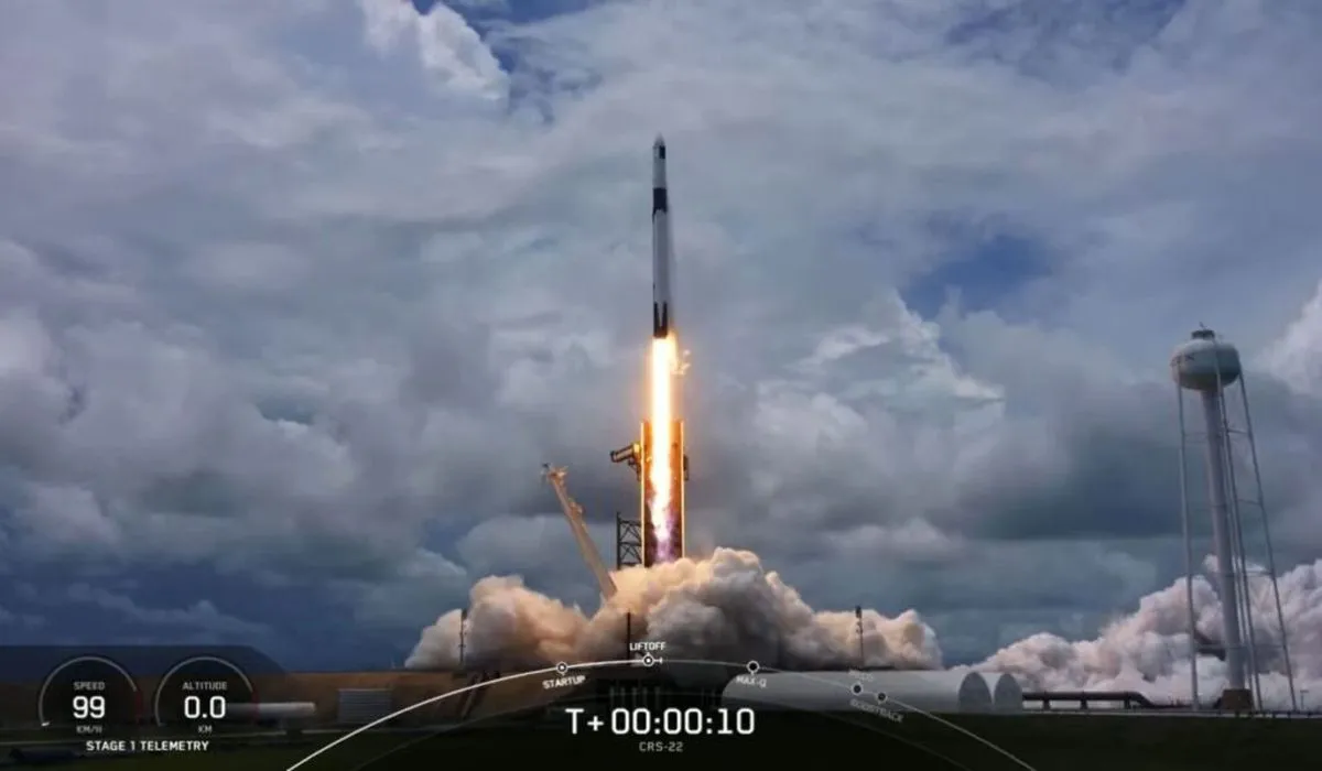 asi-despegaba-spacex-el-experimento-las-plantas-arabidopsis-thalianas-probar-la-hipotesis-roberto-aquilano