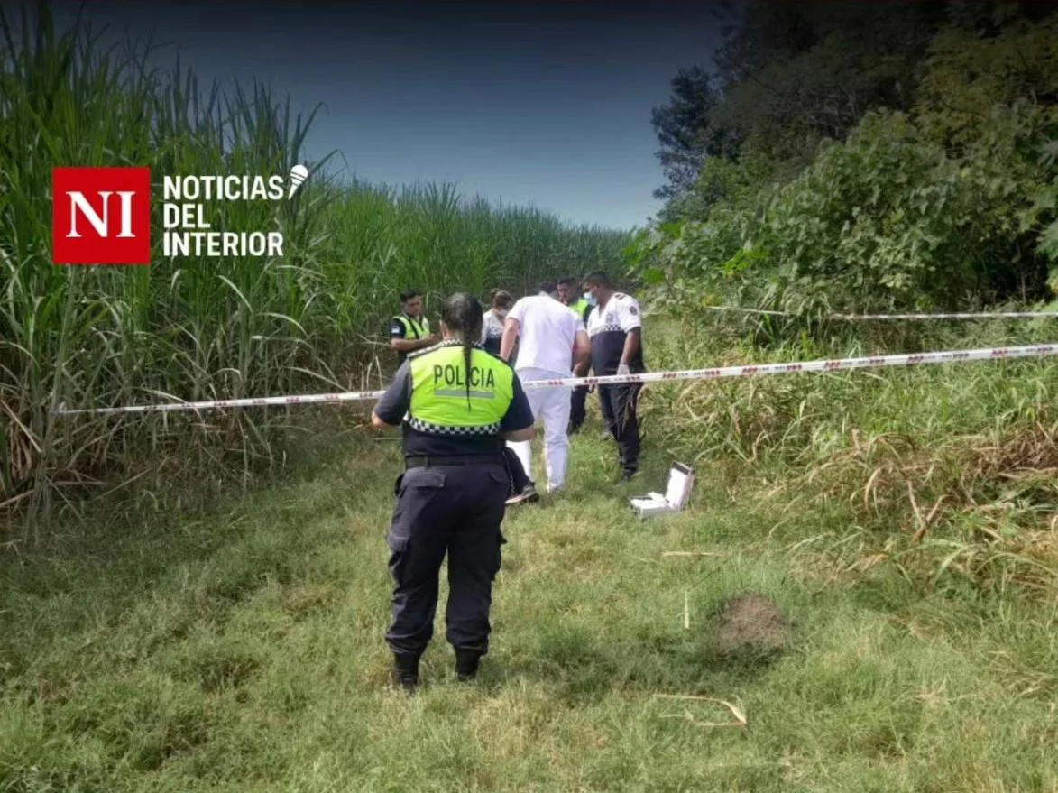 WhatsApp Image 2026-03-31 at 19.16.53