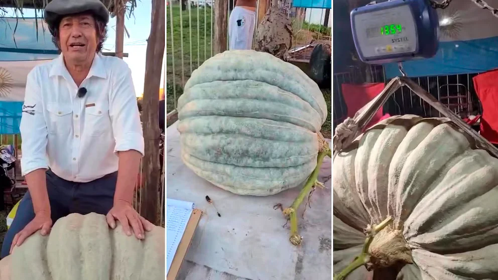 WA2ZYBERVNGFXL4UKUCKAOAJ3M