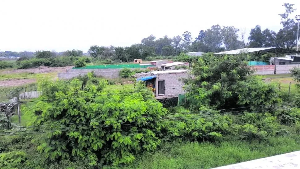 usurpacion terrenos cooperativa