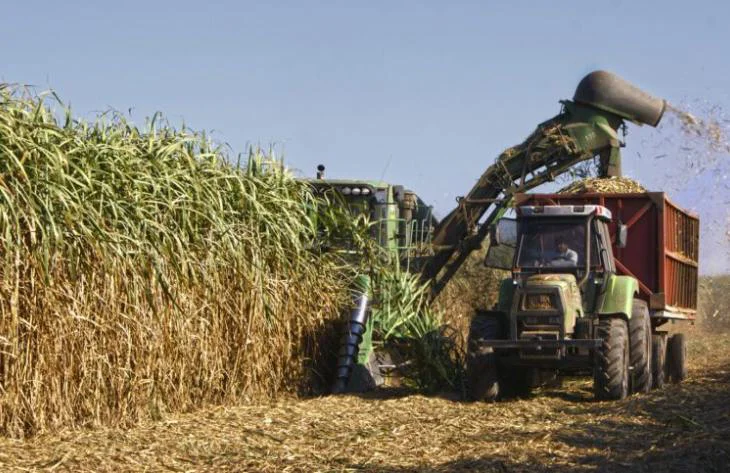 730x473_260408115039_84495