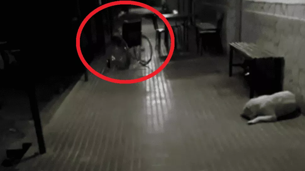 video1_x1x_crop1634919283280.png_1734428432