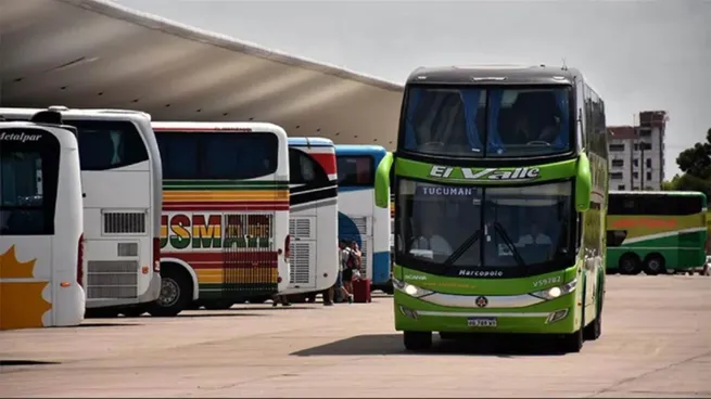 colectivo-1