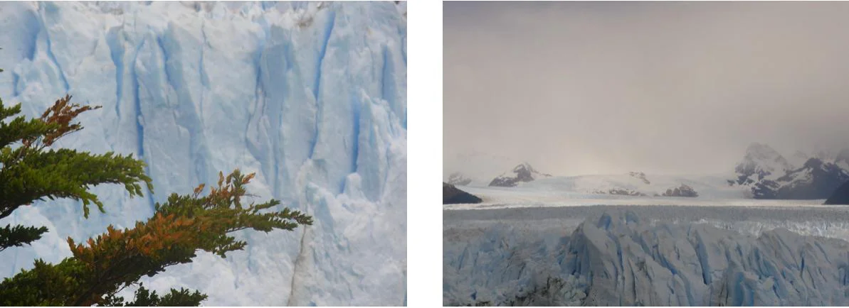 WhatsApp Image 2026-03-26 at 17.01.39