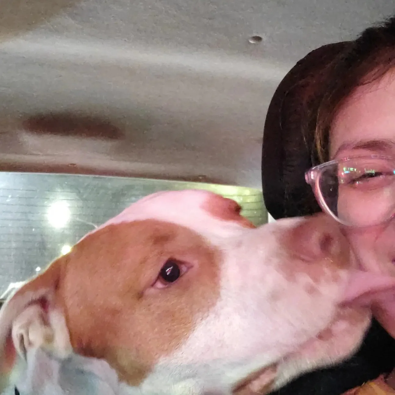 491589805_9830969576942168_974873220788802067_n