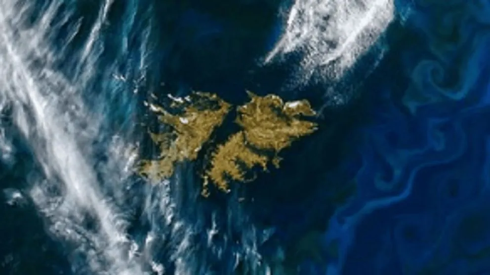 695f2acd034ab_992_558!