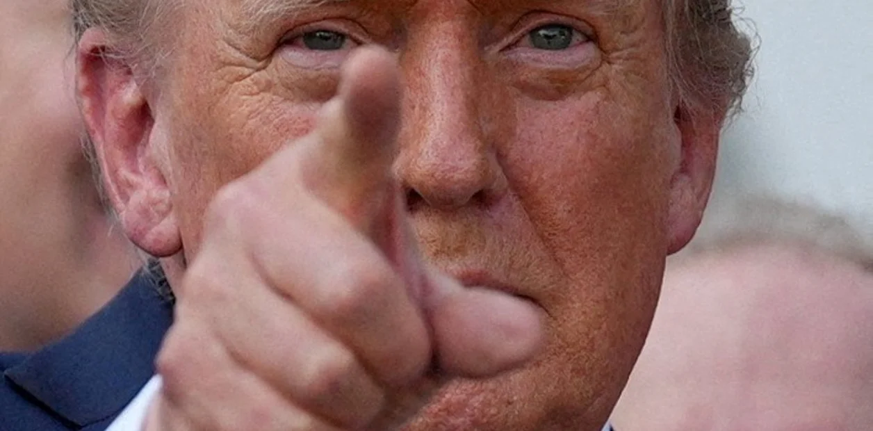 BeeQif3sx_1256x620__1