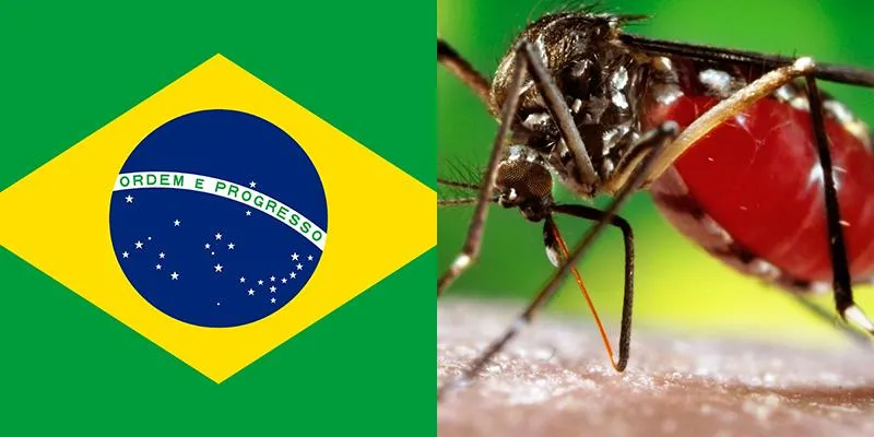 brazil_dengue