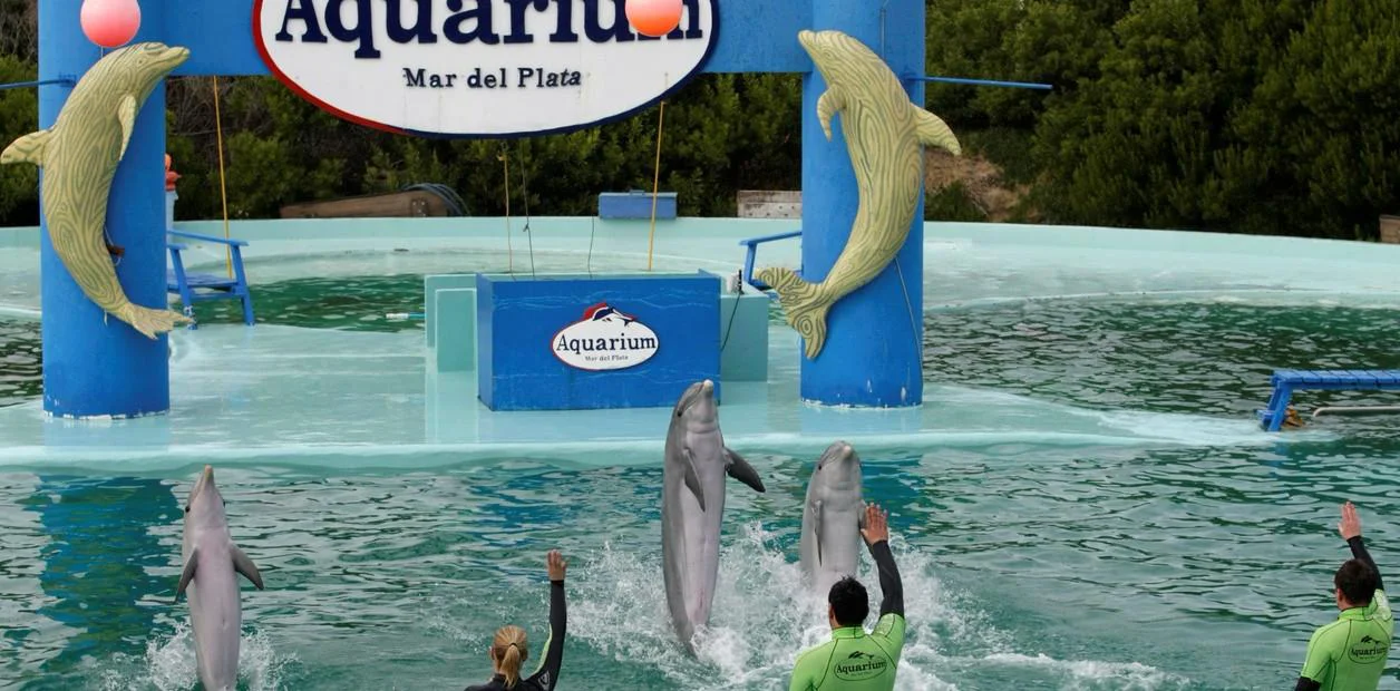 WhatsApp Image 2026-04-02 at 18.33.45